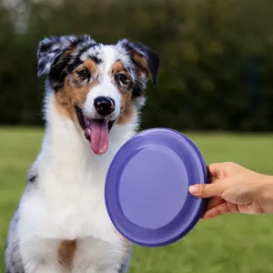 Duurzame honden frisbee speelgoed voor interactieve training, drijvend en bijtbestendig.