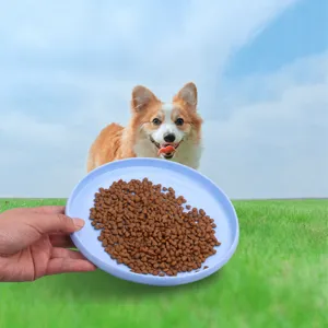 Multifunctionele hondenfrisbee en voerbak, duurzaam buitenspeelgoed voor hondentraining.