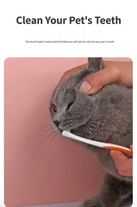 Detailed close-up view showing a soft pet toothbrush in action, cleaning a cat's teeth gently.