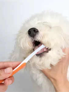 Pet tooth brush and toothpaste set for dogs and cats oral cleaning and dental care tool