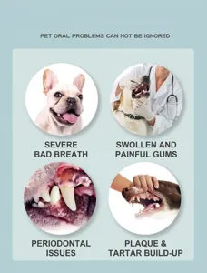 Pet oral health care details showing common dog dental problems like bad breath and plaque.