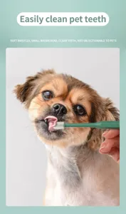 Detailed view of pet toothbrush with soft bristles and small head for gentle dental care.