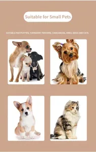 Designed for small pets like puppies and kittens, perfect for pet dental care details.
