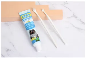 Close up of pet cat toothpaste and toothbrush set details, showing soft bristles and tube packaging.