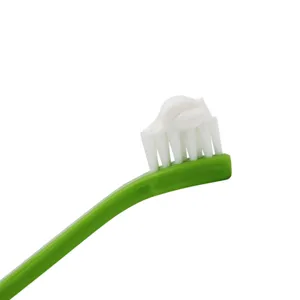 Close-up of green pet toothbrush head with white bristles and toothpaste for daily dental care.