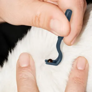 Professional pet tick remover tool, safe tick hook for cats and dogs, easy flea removal comb accessory.