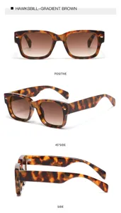 Braune quadratische Sonnenbrille mit Verlaufsgläsern und Schildpatt-Rahmen für den Alltag.
