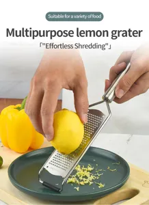 Vue détaillée de la râpe à citron en acier inoxydable montrant la texture de la lame.