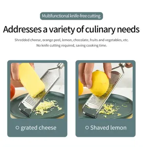 Rape a fromage et zesteur de citron en acier inoxydable pour la cuisine et les aliments.