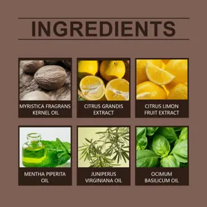 Body care oil ingredients infographic showing natural plant extracts and botanical oils.