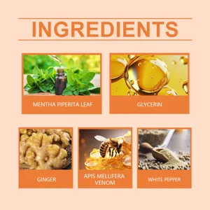 Infografica dettagliata degli ingredienti naturali con menta, zenzero ed estratti.
