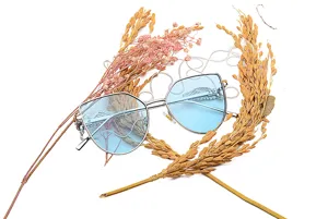 Nahaufnahme einer modischen Sonnenbrille mit silbernem Flügel-Design und blauen Gläsern.