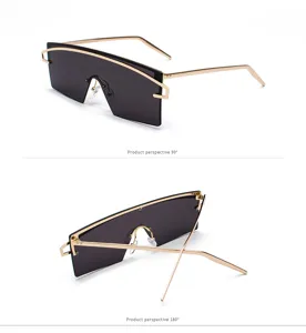 View of integrated shield sunglasses from 90 and 180 degree perspectives for detail.
