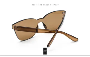 Détail de l'angle latéral de lunettes de soleil monobloc marron à monture cristal