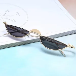 Lunettes de Soleil Punk en Métal à Demi-Monture Oeil de Chat pour Femmes Hommes Forme Irrégulière Étroite Style Gothique Steampunk Mode Streetwear