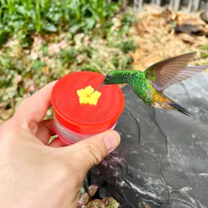 Detailed view of hand holding a small hummingbird feeder with red cap and yellow flower port.