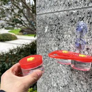 Detail view of wall-mounted hummingbird feeder with suction cups and red flower feeding port.