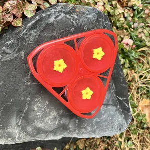 Red hummingbird feeder detail with yellow flower ports on dark slate stone background outdoor.