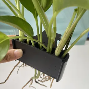 Detail view of black plastic fish tank aquatic plant holder with green stems and roots.