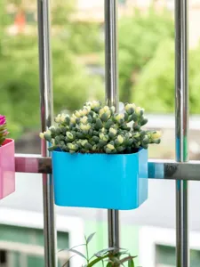 Primer plano de una jardinera colgante de plástico azul en balcón con suculentas verdes.