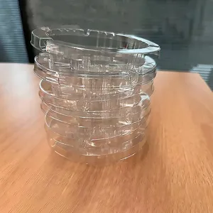 Set di posacenere usa e getta in plastica trasparente per casa soggiorno hotel.