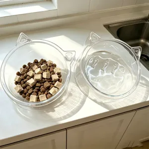Ensemble de gamelles transparentes pour chat en plastique pour eau et nourriture.