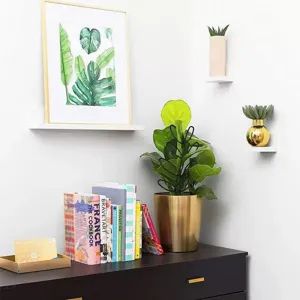 Indoor green plant climbing frame leaf shape metal garden trellis for potted vines.
