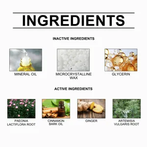 Detailed ingredients infographic showing active and inactive components of the body care patch.