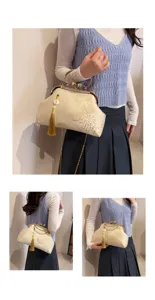 Borsa da sera vintage in stile cinese ricamata con catena chic e nappina elegante.