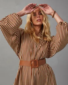 Detail shot of a stylish brown striped shirt dress featuring long sleeves and a matching belt.