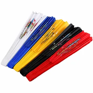Éventail kung-fu plastique 1 pied dragon coloré éventail tai-chi pliable arts martiaux multicolore