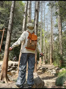 Détail de sac à dos de voyage en forêt, montrant grande capacité et design bicolore.