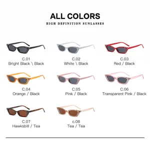 Kleine Sonnenbrille mit Strass für Damen und Herren, trendige Cat-Eye-Sonnenbrille.
