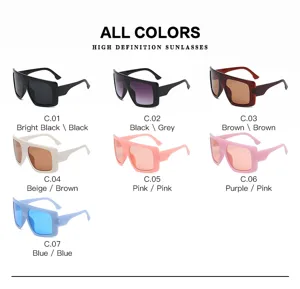 Large frame sunglasses color options detail chart displaying various stylish shades C.01 to C.07.