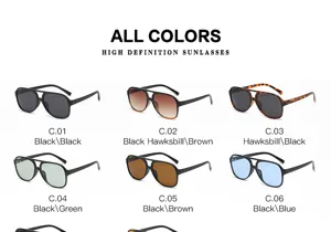 Lunettes de soleil rétro tendance à double pont avec verres océan, grand cadre élégant pour tous.