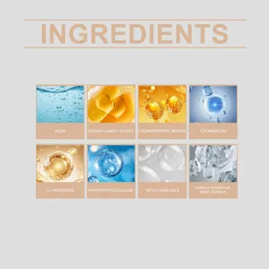 Infografica dettagliata degli ingredienti del sapone mani con componenti attivi ed estratti.