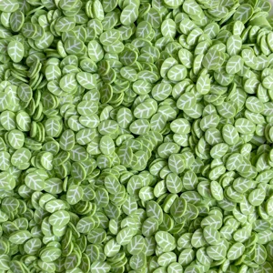 Tranches d'argile polymère feuille verte pour bricolage coque téléphone slime