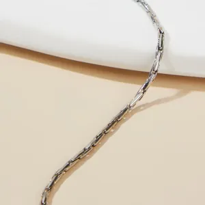 Elegante minimalistische zilveren titanium stalen ketting voor dames sieraden cadeau
