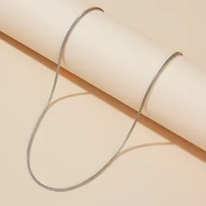 Minimalistische Titaniumstaal Vossenstaartketting Halsketting Voor Vrouwen Eenvoudig Veelzijdig Eenvoudige Sleutelbeinketting Mode Sieraden Cadeau