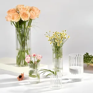 Set van transparante glazen ribbelvazen voor hydrocultuur planten en tafeldecoratie in huis