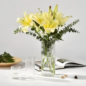 Elegant transparant geribbelde glazen vazenset voor hydrocultuurplanten en decor