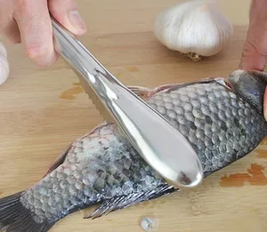 Detalle de la herramienta raspadora de escamas de pescado de acero inoxidable con borde dentado.
