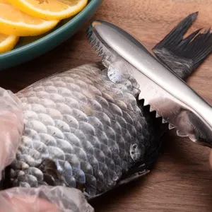 Escamador de pescado de acero inoxidable con hoja dentada para eliminar rápidamente las escamas.
