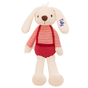 Adorable plush rabbit toy in red overalls with personalized blue name embroidery on the ear