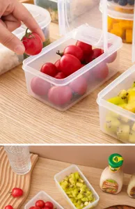 Clear plastic food storage box detail showing fresh cherry tomatoes and sliced kiwifruits inside.