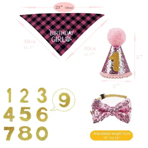 Pink plaid pet birthday bandana and sequined hat set with adjustable bow tie size info