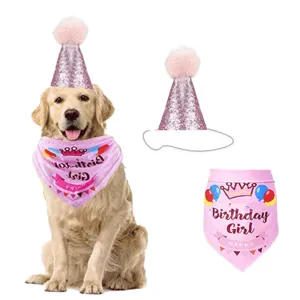 Pet birthday party set featuring pink glitter hat and Birthday Girl bandana for dogs