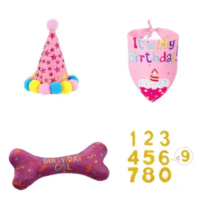 Pink pet birthday set featuring star hat, cake bandana, bone toy and gold numbers