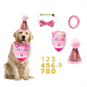 Pink dog birthday party kit with sequined hat bow tie and bandana