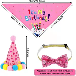 Ensemble d'anniversaire rose pour animaux avec dimensions du bandana, chapeau et nœud papillon.